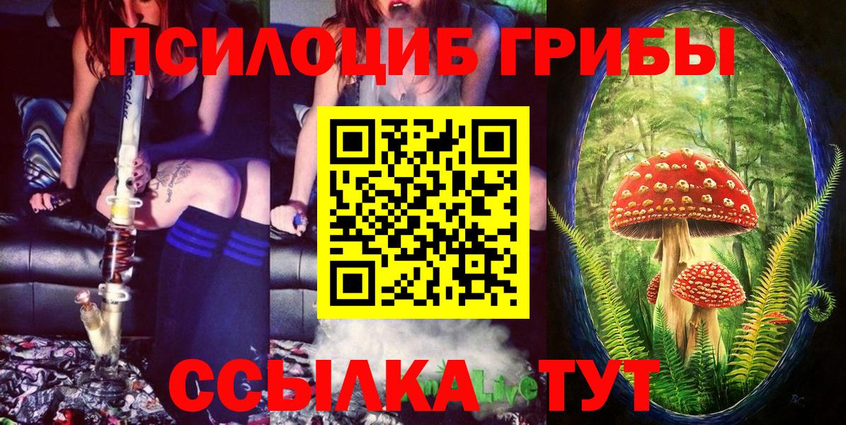 Краснокамск  Псилоцибиновые грибы прущие грибы  как найти закладки  Вход с VPN 