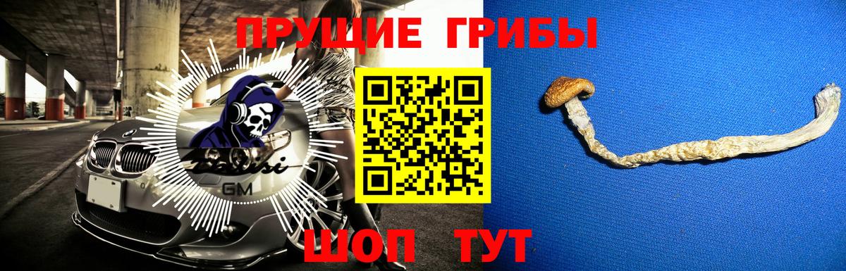 Галлюциногенные грибы мицелий Краснокамск